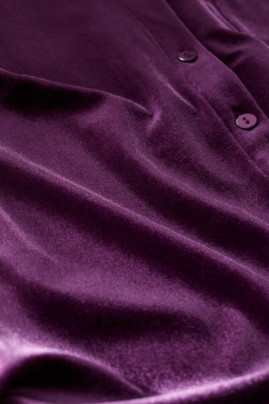 olmo camisa de terciopelo